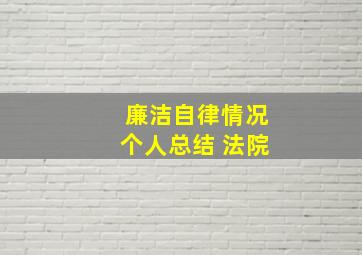 廉洁自律情况个人总结 法院